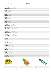 DSS_2S_Bu_h_Nr_01.pdf